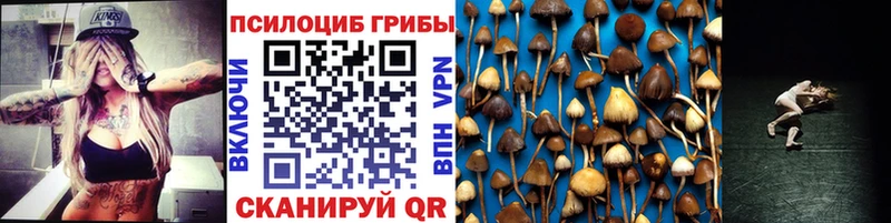 наркотики  omg маркетплейс  Галлюциногенные грибы ЛСД  Озёры 